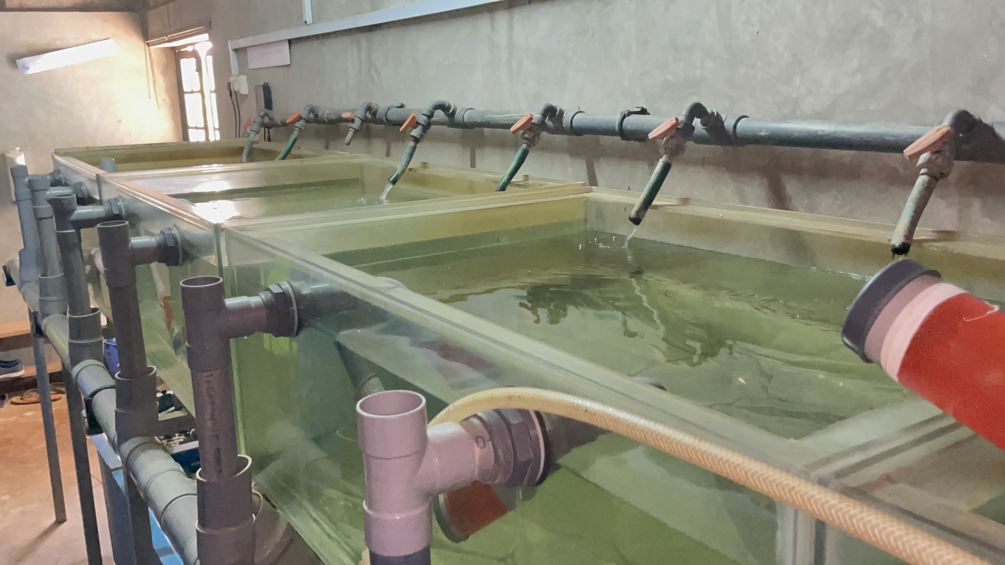 Water Conservation