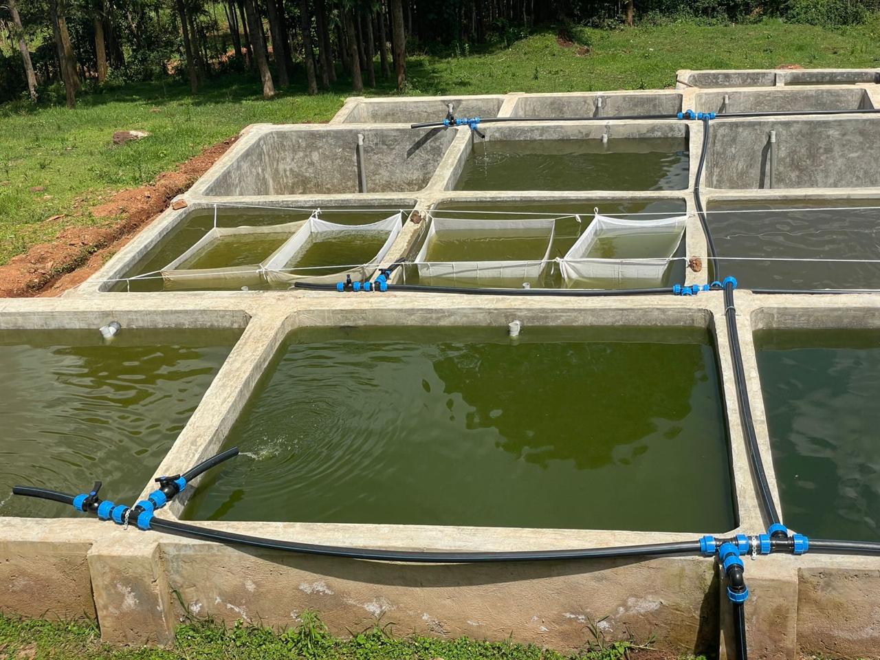 Tanks and Piping Systems