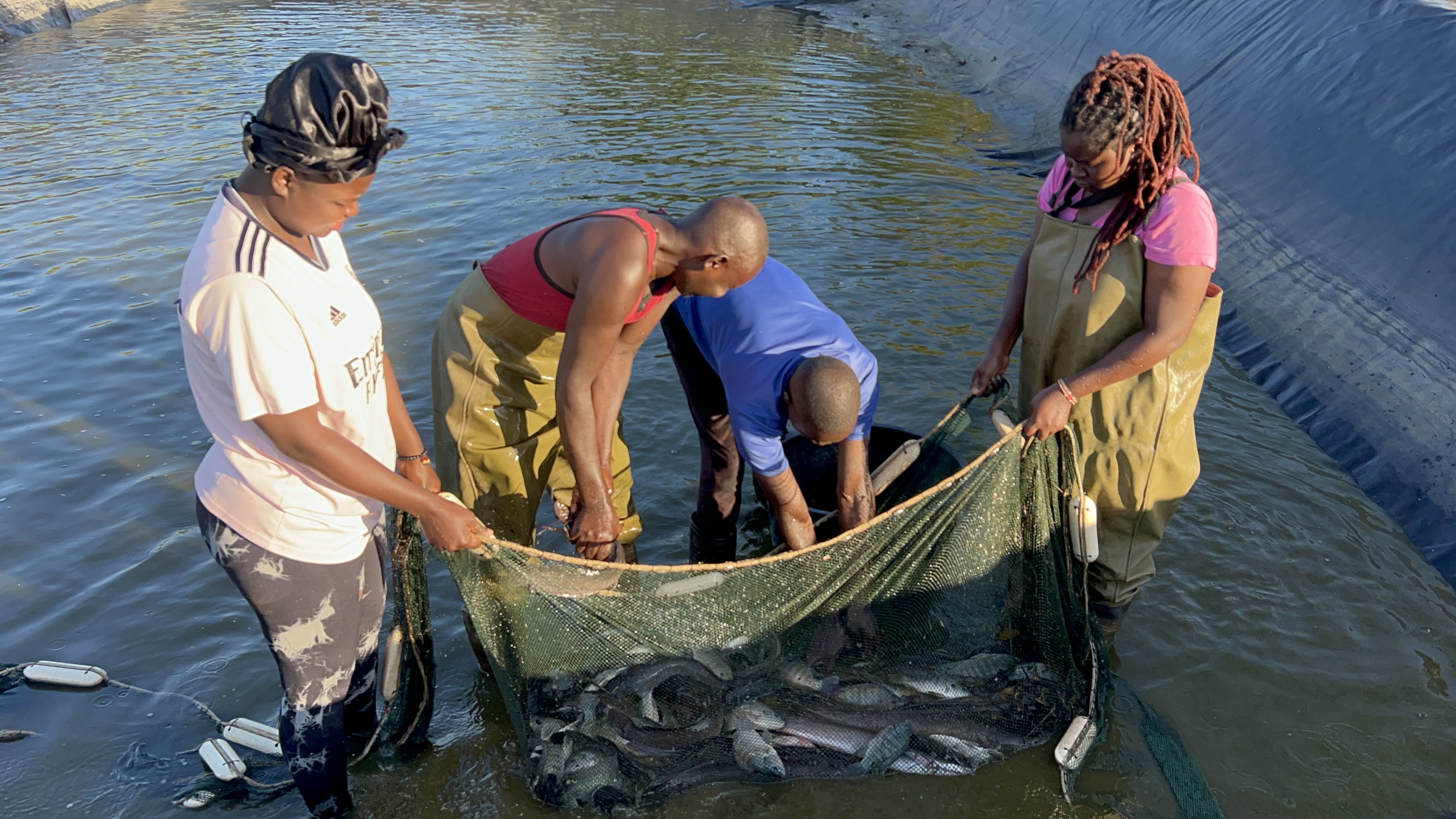 Fresh Fish