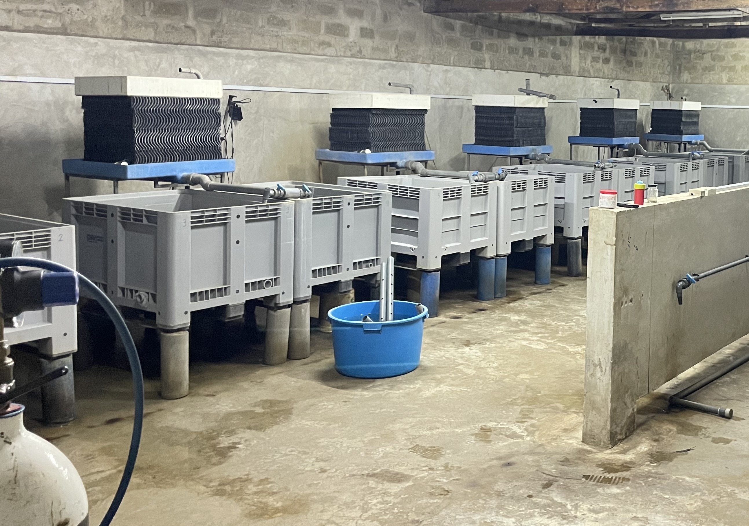 Hatchery Design Image 2