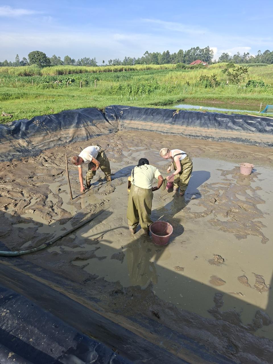 Pond Construction Management Image 1