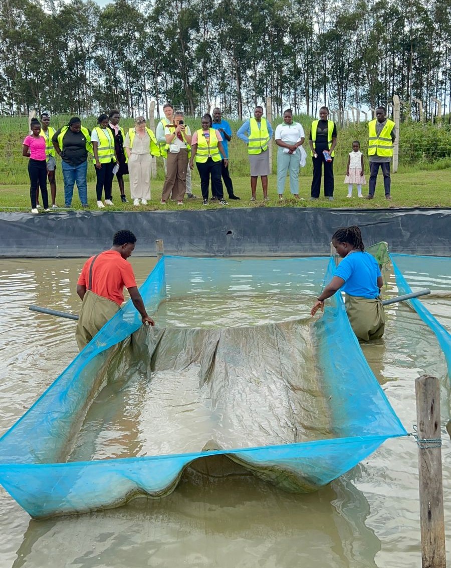 Training and Capacity Building Image 1